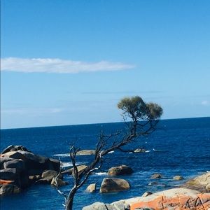 Meet your Posher, Edna